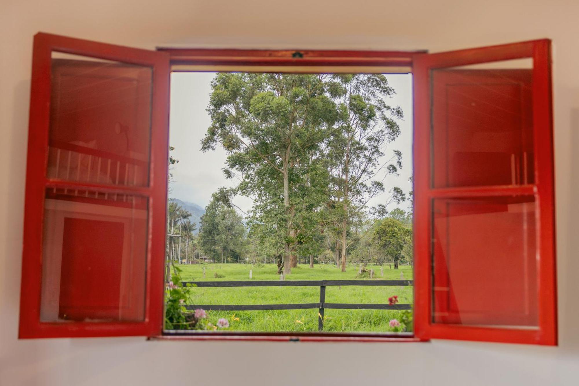 La Cabana Ecohotel - Valle Del Cocora 萨兰托 客房 照片