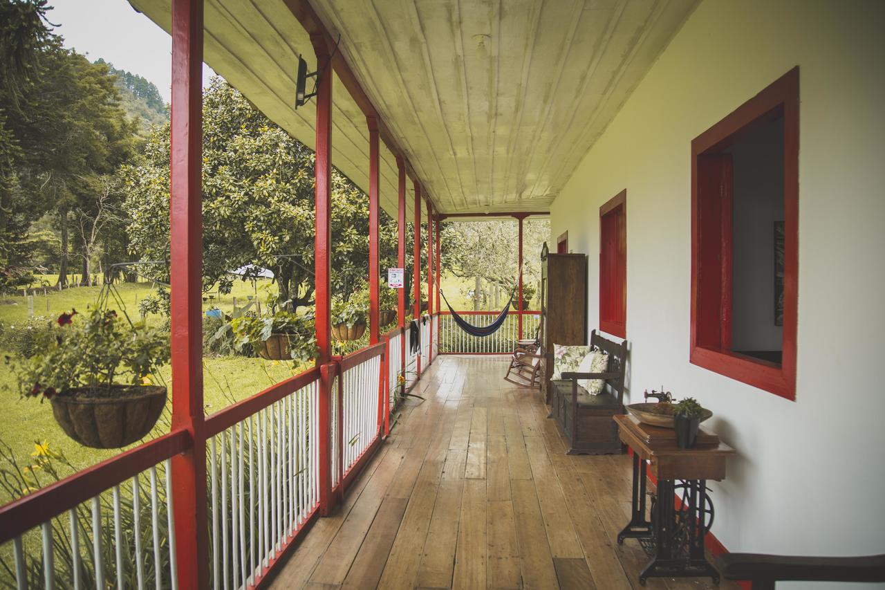 La Cabana Ecohotel - Valle Del Cocora 萨兰托 外观 照片