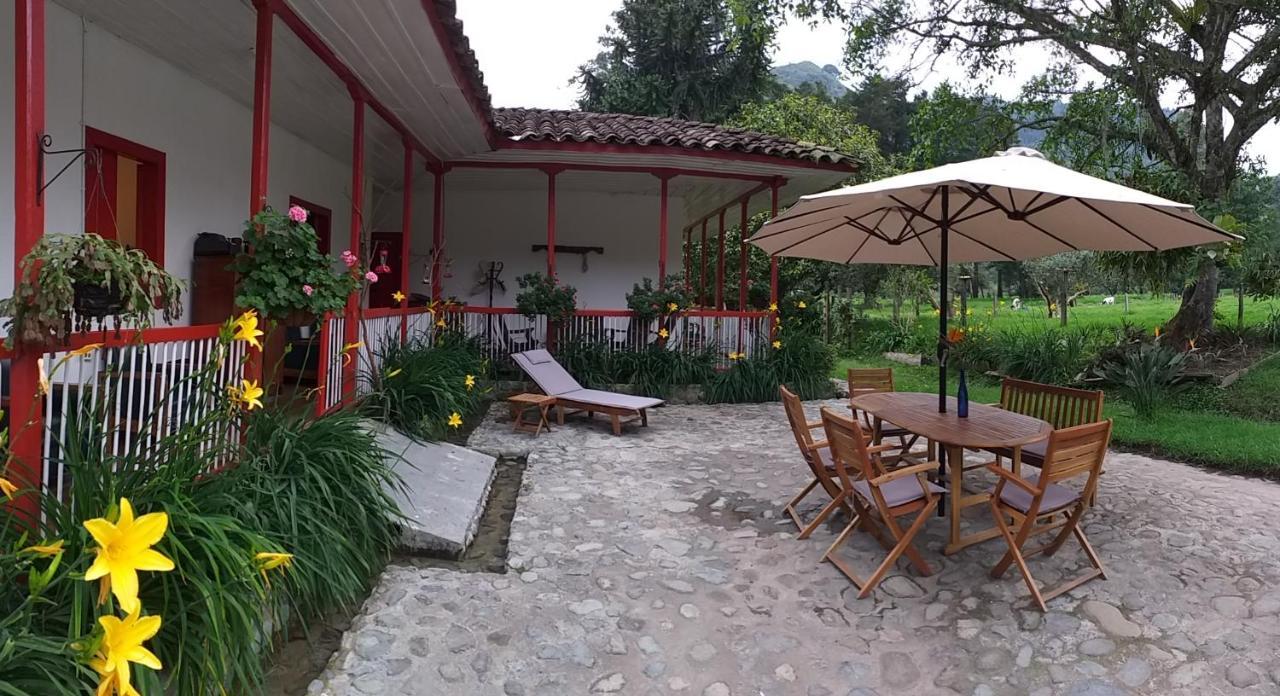 La Cabana Ecohotel - Valle Del Cocora 萨兰托 外观 照片