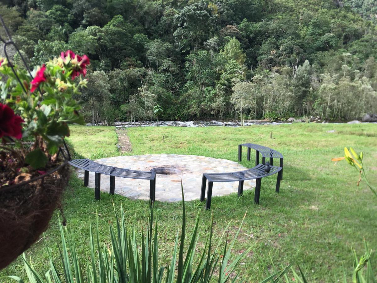 La Cabana Ecohotel - Valle Del Cocora 萨兰托 外观 照片