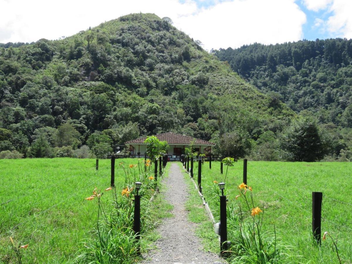 La Cabana Ecohotel - Valle Del Cocora 萨兰托 外观 照片